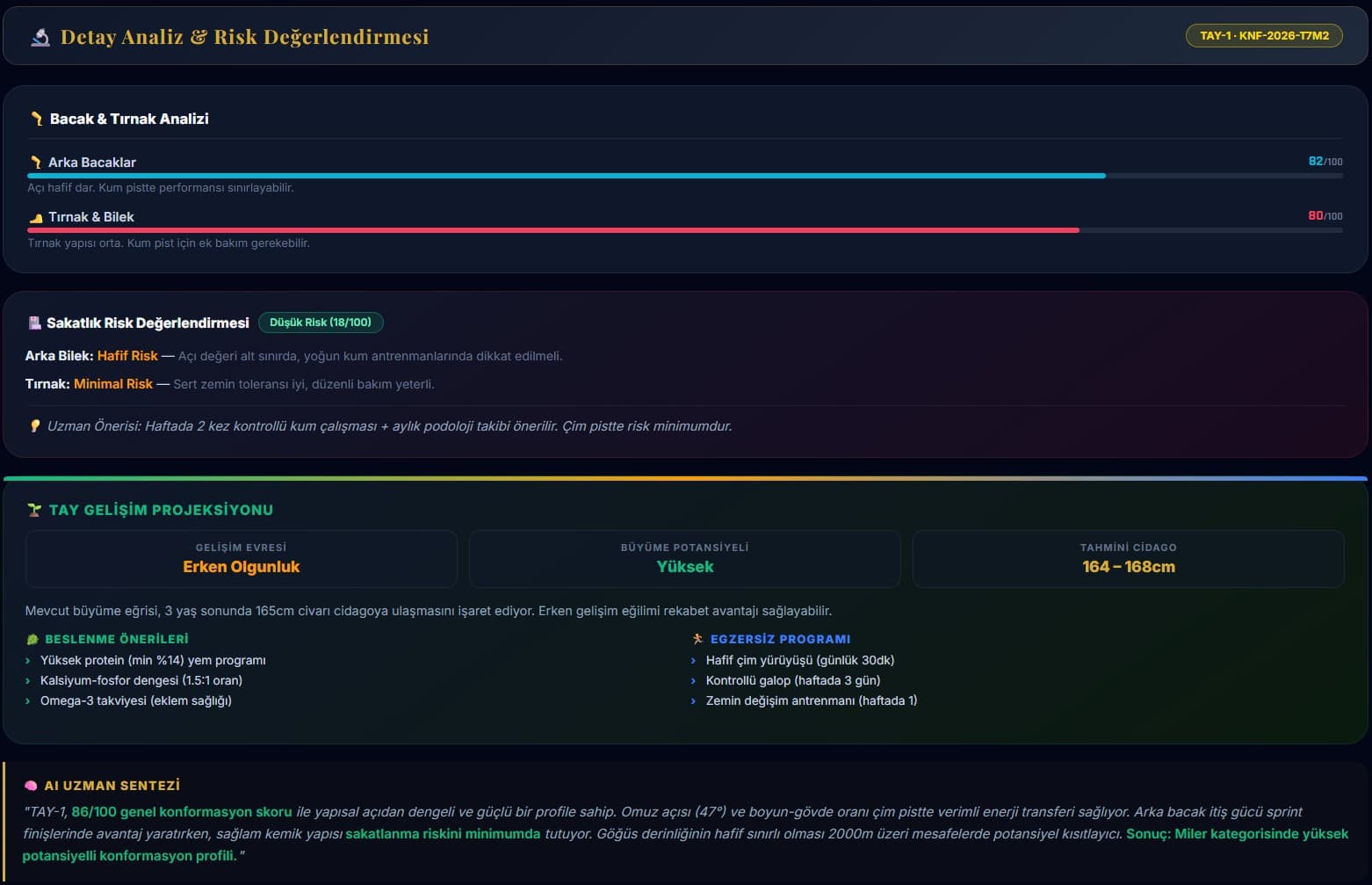 Anne Hattı & Akıllı Eşleşme 1